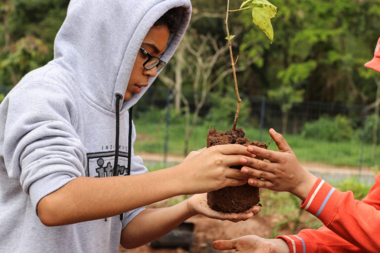 Atlantic Forest in Schools