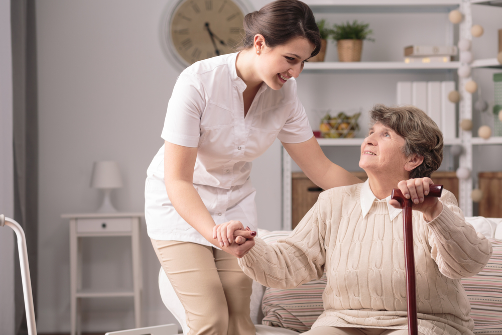Health Care Network for the Elderly – RASPI