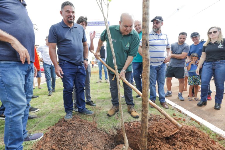 Implantação de florestas urbanas e plantio de mudas nativas do cerrado (decreto nº 44.606/2023),