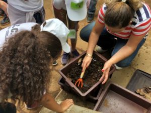 Programa Parque Educador