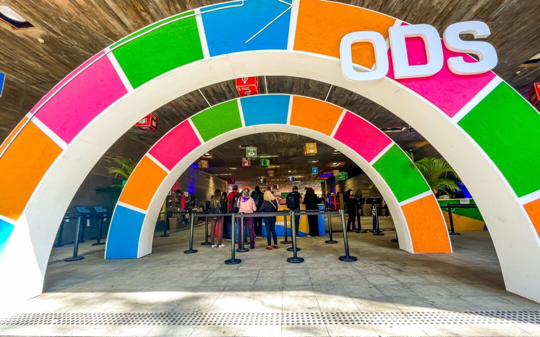 São Paulo SDG Festival (“Virada ODS”)